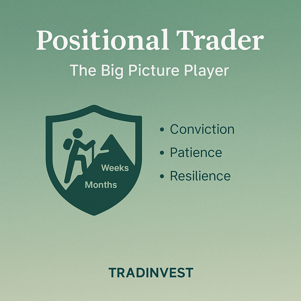 Positional Trader Infographic – The Big Picture Player